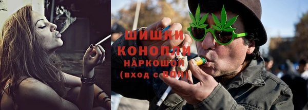 гашик Краснослободск