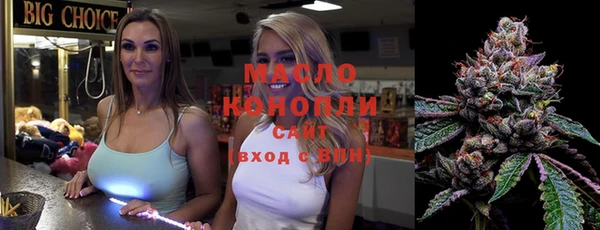 гашик Краснослободск