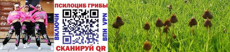 кракен tor  Нижний Ломов  Псилоцибиновые грибы Magic Shrooms 